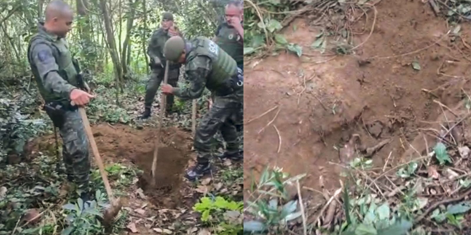 Cemitério clandestino é encontrado em parque na região sul paulistana