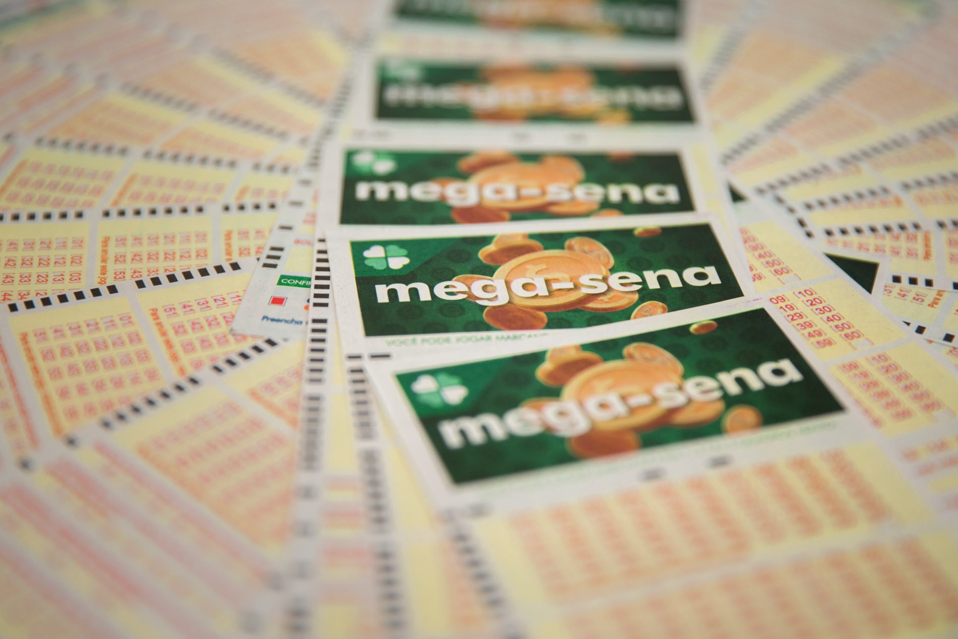Mega-Sena, concurso 2.896: prêmio acumula e vai a R$ 100 milhões; veja as dezenas sorteadas